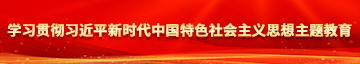 雏田的逼被我搓出水了学习贯彻习近平新时代中国特色社会主义思想主题教育